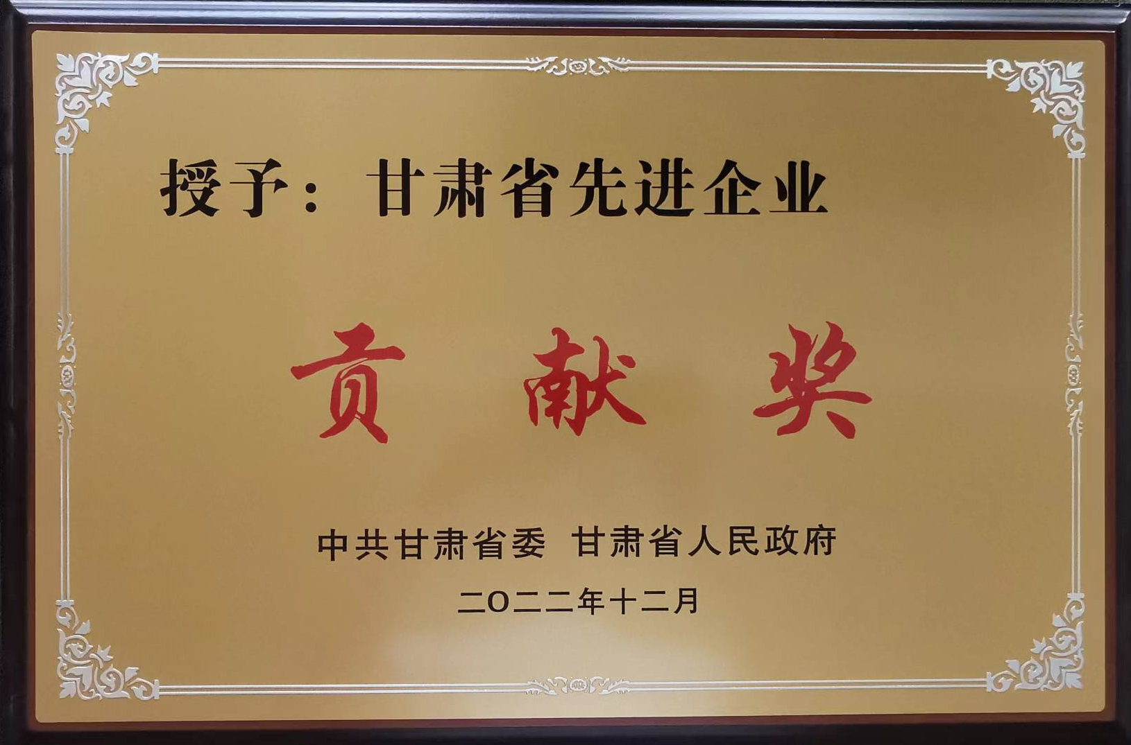 甘肃省先进企业贡献奖